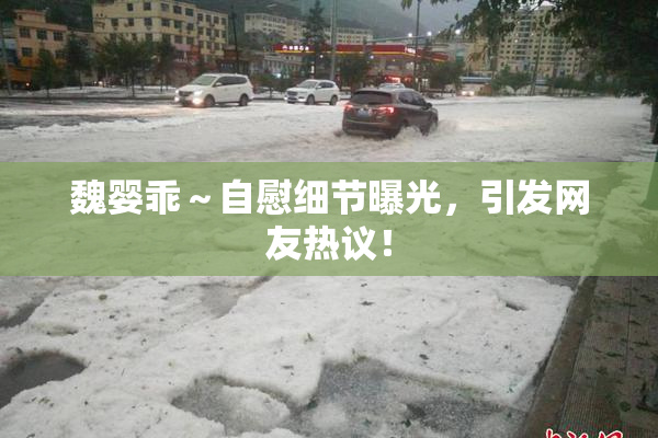 魏婴乖～自慰细节曝光，引发网友热议！