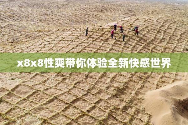x8x8性爽带你体验全新快感世界