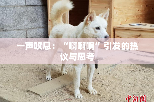 一声叹息：“啊啊啊”引发的热议与思考