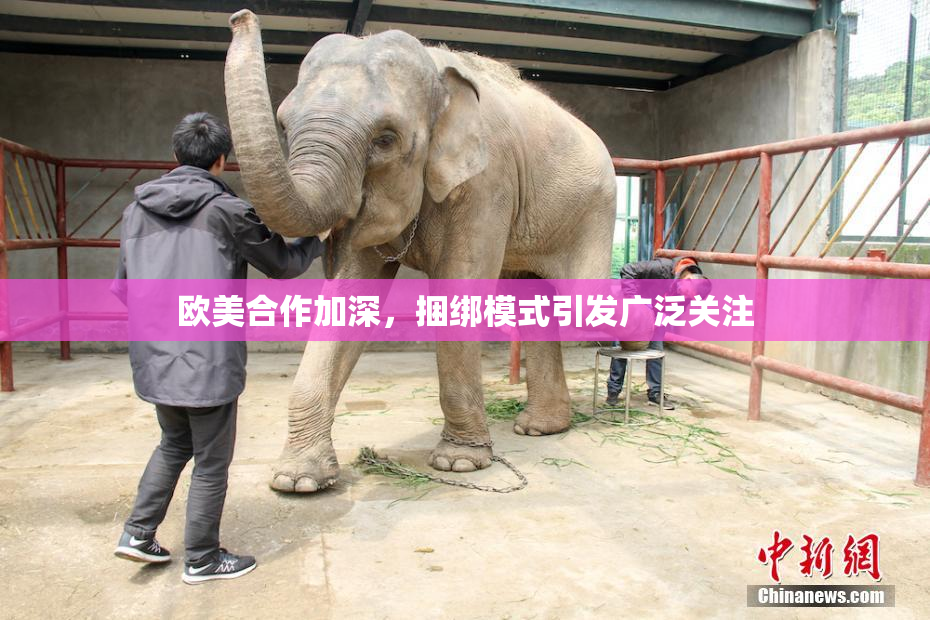 欧美合作加深，捆绑模式引发广泛关注