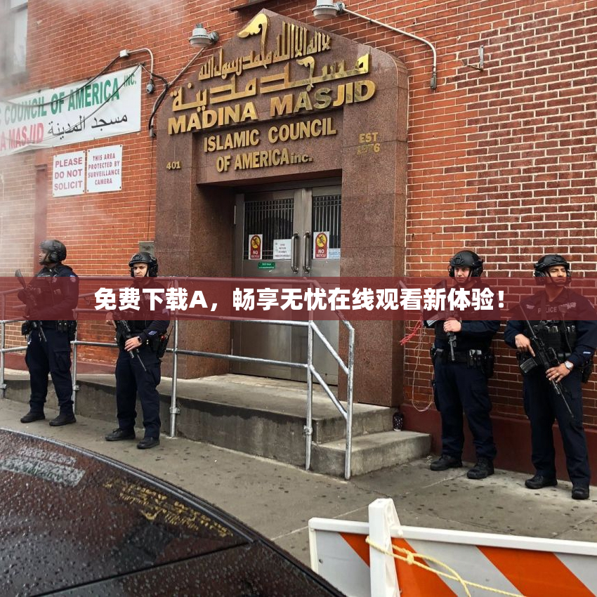 免费下载A，畅享无忧在线观看新体验！