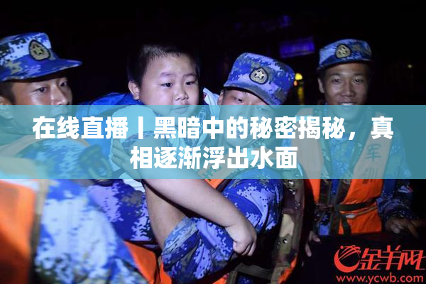 在线直播丨黑暗中的秘密揭秘，真相逐渐浮出水面