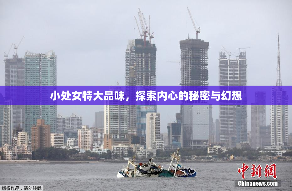 小处女特大品味，探索内心的秘密与幻想