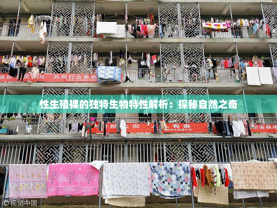 性生殖裸的独特生物特性解析：探秘自然之奇