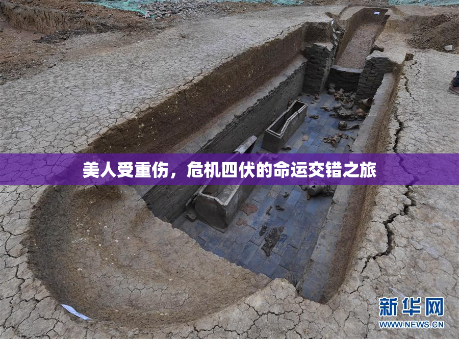 美人受重伤，危机四伏的命运交错之旅