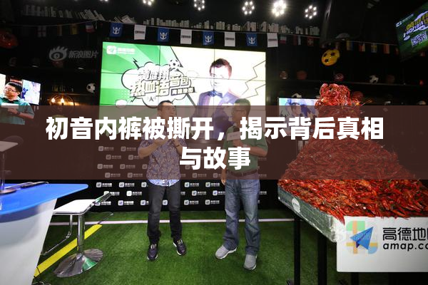 初音内裤被撕开，揭示背后真相与故事