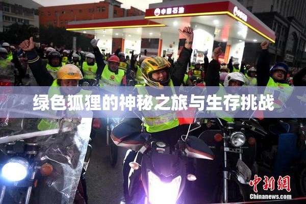 绿色狐狸的神秘之旅与生存挑战