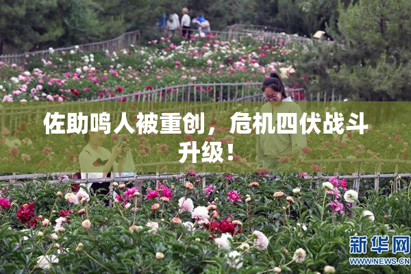 佐助鸣人被重创，危机四伏战斗升级！