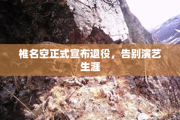 椎名空正式宣布退役，告别演艺生涯