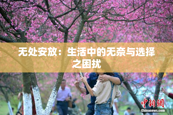 无处安放：生活中的无奈与选择之困扰