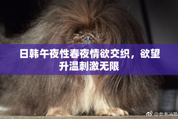 日韩午夜性春夜情欲交织，欲望升温刺激无限