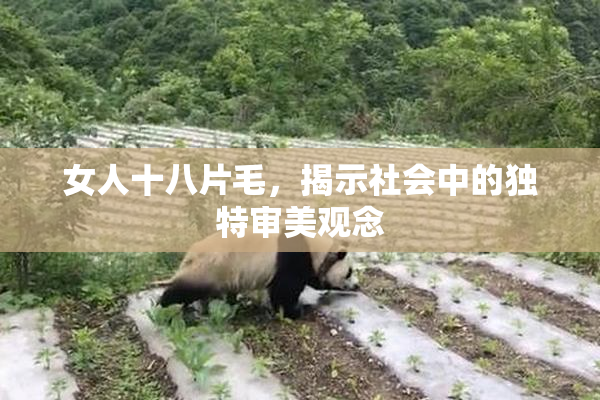 女人十八片毛，揭示社会中的独特审美观念