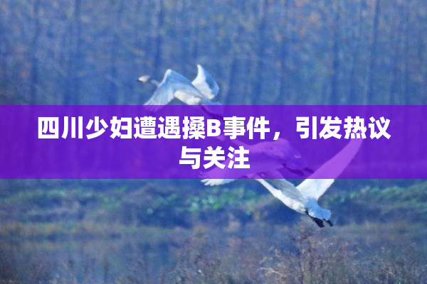 四川少妇遭遇搡B事件，引发热议与关注