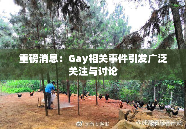 重磅消息：Gay相关事件引发广泛关注与讨论