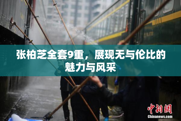 张柏芝全套9重，展现无与伦比的魅力与风采