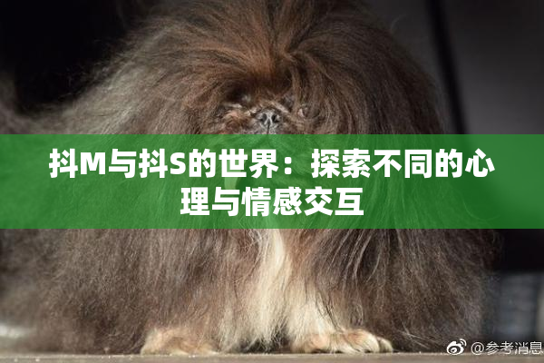 抖M与抖S的世界：探索不同的心理与情感交互