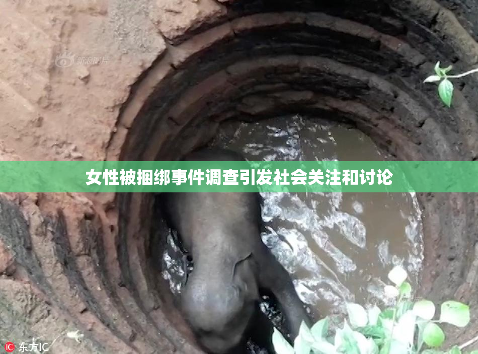 女性被捆绑事件调查引发社会关注和讨论