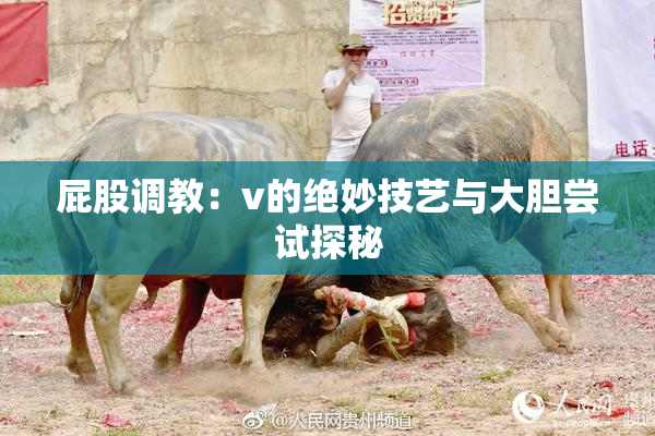 屁股调教：v的绝妙技艺与大胆尝试探秘