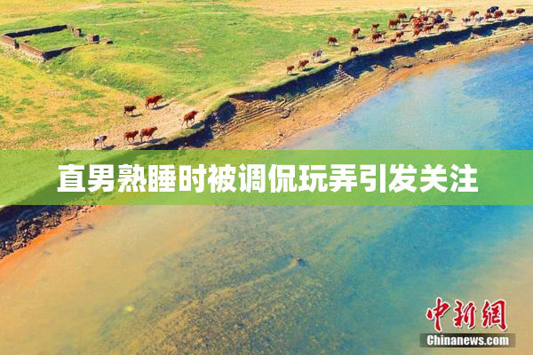 直男熟睡时被调侃玩弄引发关注