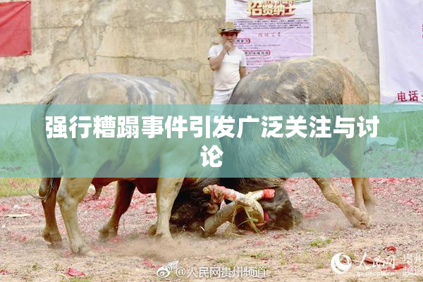 强行糟蹋事件引发广泛关注与讨论