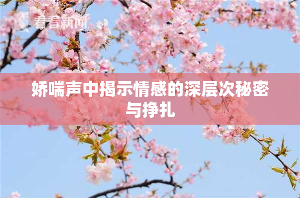 娇喘声中揭示情感的深层次秘密与挣扎