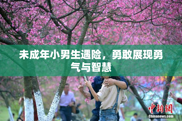 未成年小男生遇险，勇敢展现勇气与智慧