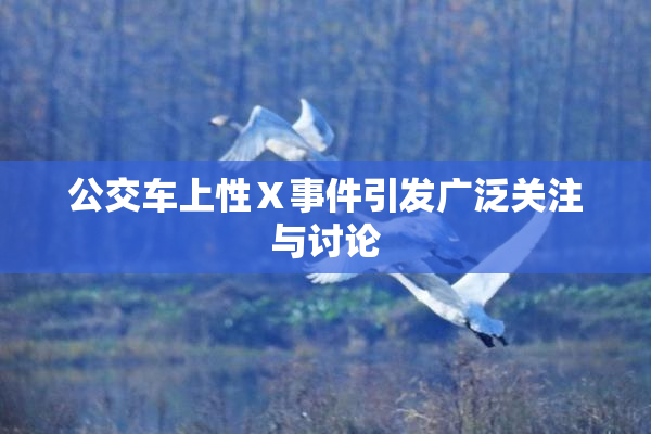 公交车上性Ⅹ事件引发广泛关注与讨论