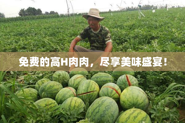 免费的高H肉肉，尽享美味盛宴！