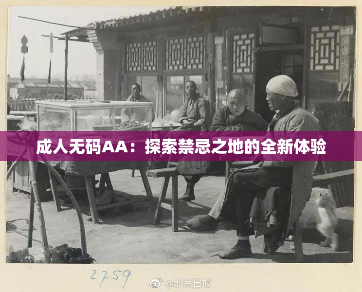 成人无码AA：探索禁忌之地的全新体验