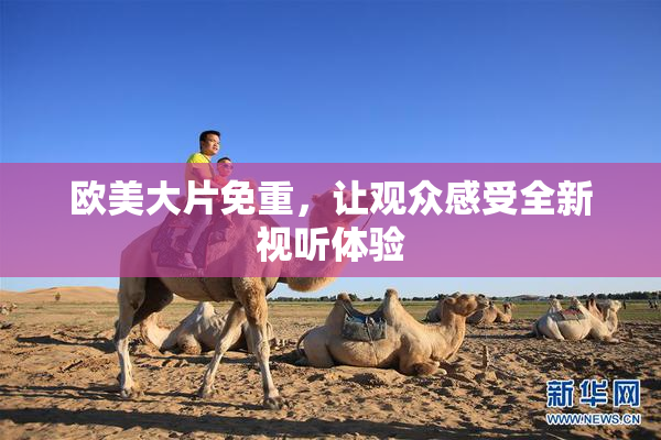 欧美大片免重，让观众感受全新视听体验