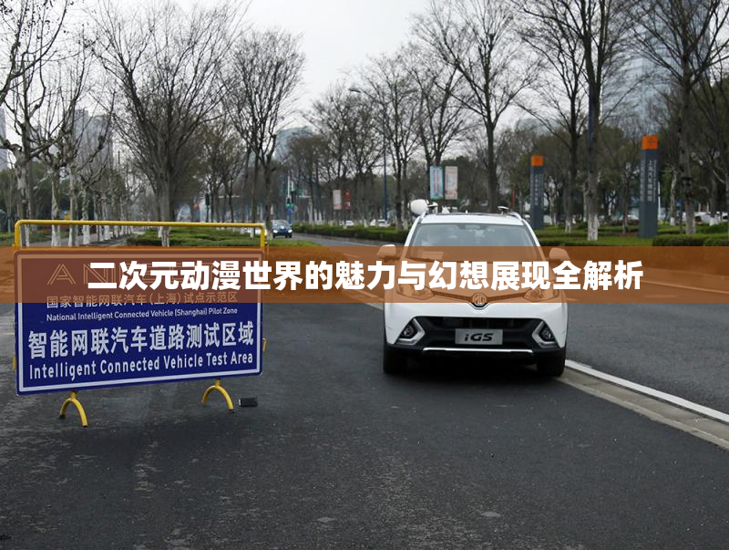 二次元动漫世界的魅力与幻想展现全解析