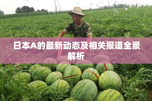 日本A的最新动态及相关报道全景解析