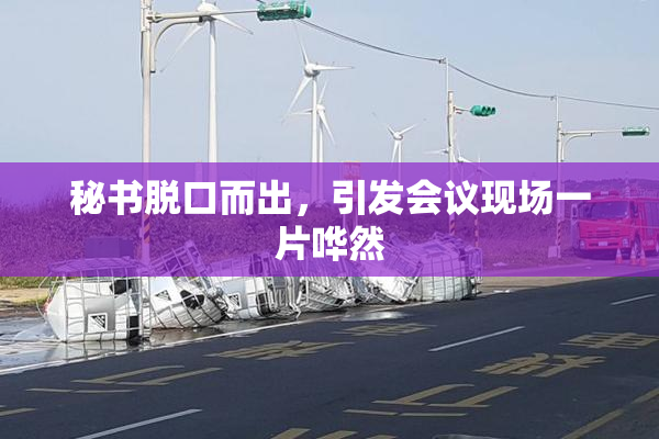 秘书脱口而出，引发会议现场一片哗然