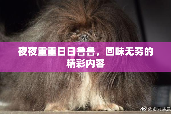夜夜重重日日鲁鲁，回味无穷的精彩内容