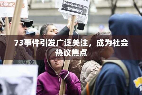 73事件引发广泛关注，成为社会热议焦点