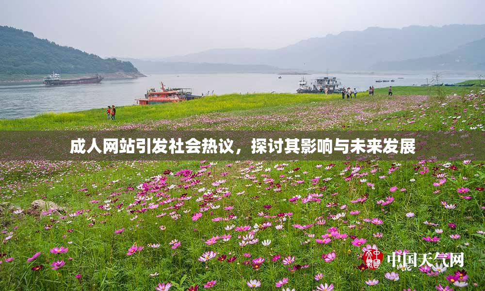 成人网站引发社会热议，探讨其影响与未来发展