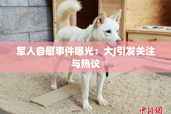 军人自慰事件曝光：大J引发关注与热议