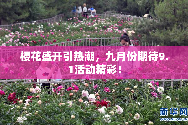 樱花盛开引热潮，九月份期待9.1活动精彩！