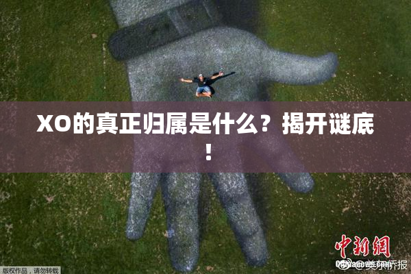 XO的真正归属是什么？揭开谜底！