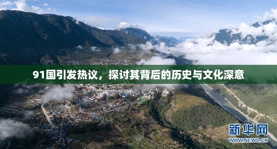 91国引发热议，探讨其背后的历史与文化深意